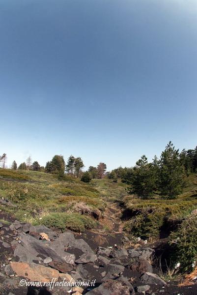 Etna1. 17mag08 (185)_ridimensionare.jpg